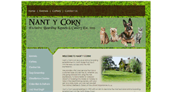 Desktop Screenshot of nantycorn.com
